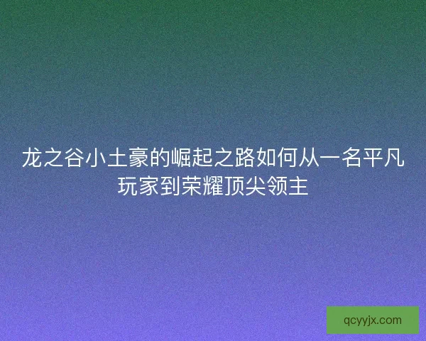 龙之谷小土豪的崛起之路如何从一名平凡玩家到荣耀顶尖领主