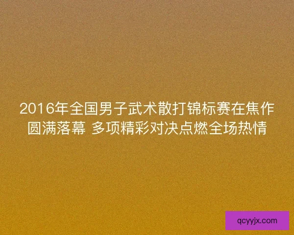 2016年全国男子武术散打锦标赛在焦作圆满落幕 多项精彩对决点燃全场热情