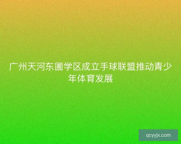 广州天河东圃学区成立手球联盟推动青少年体育发展