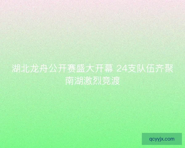 湖北龙舟公开赛盛大开幕 24支队伍齐聚南湖激烈竞渡