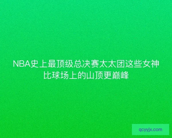 NBA史上最顶级总决赛太太团这些女神比球场上的山顶更巅峰
